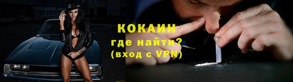 гидра Абаза