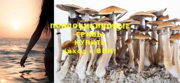 спиды Абдулино