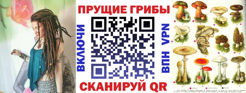 Псилоцибиновые грибы Psilocybe  Сургут 