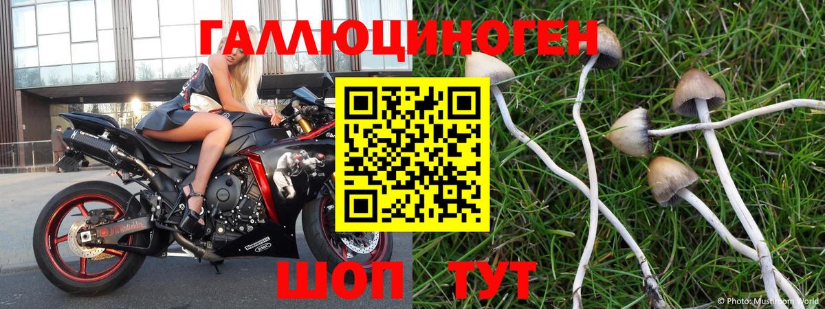 Псилоцибиновые грибы Magic Shrooms  Вход с VPN  Сургут 
