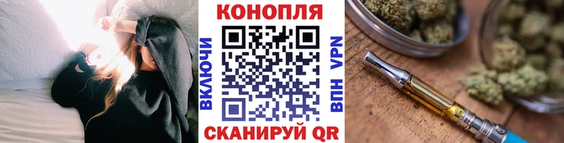 Шишки марихуана марихуана  Сургут 